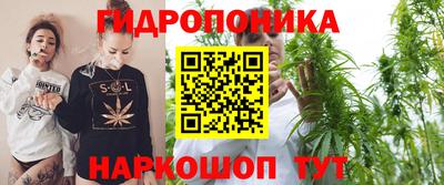 Альфа ПВП Тулун