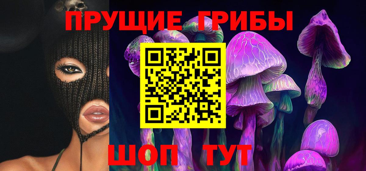 купить  сайты  Галлюциногенные грибы Psilocybine cubensis  Вход с VPN  Нефтекамск 
