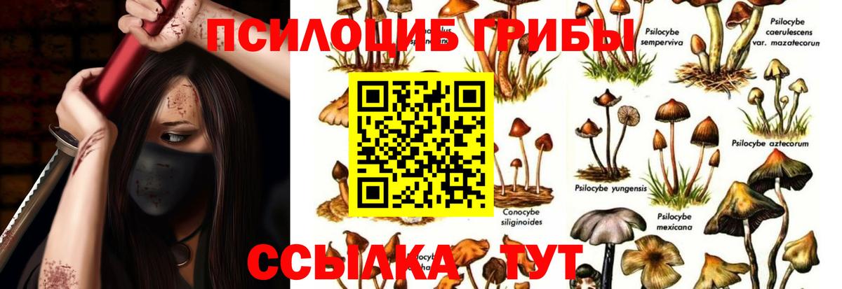 Галлюциногенные грибы GOLDEN TEACHER Нефтекамск